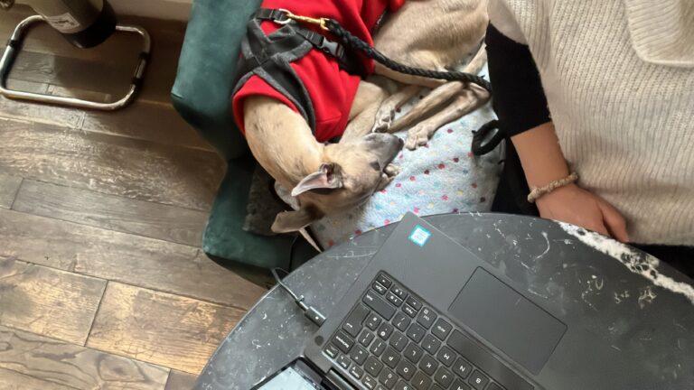 A dog in a red coat sleeping on a sofa by a desk